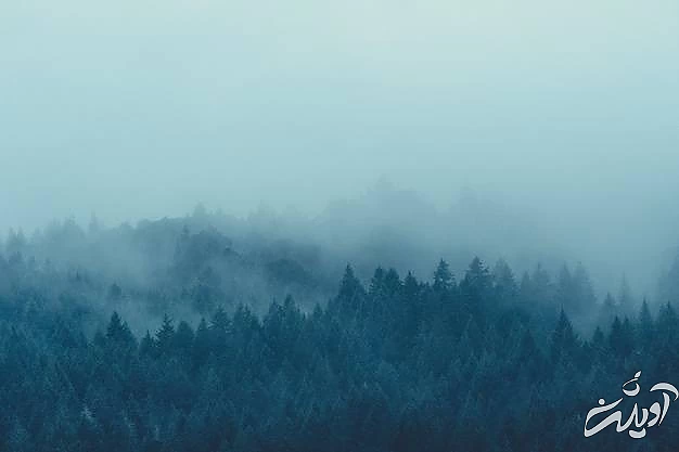 جملاتی در وصف خدا